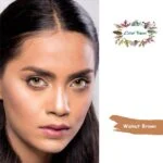 EGO VISION Walnut Brown Colored Contact Lenses!