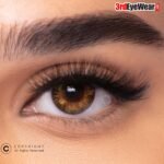 FRESHLOOK Pure Hazel Coloblends Contact Lenses!
