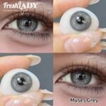 Freshlady Muses Grey Natural Color Contact Lens