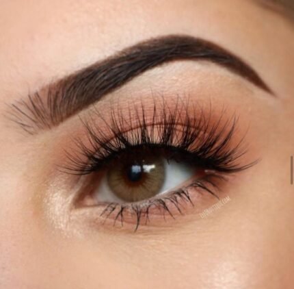 FreshLady Polarlight Brown Colored Contact Lens in Bangladesh