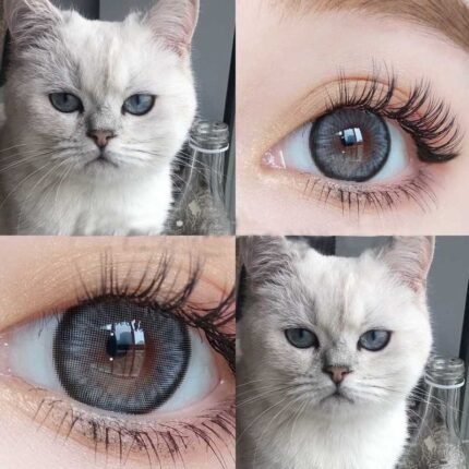 FreshLady Dawn Gray Colored Contact Lens in Bangladesh