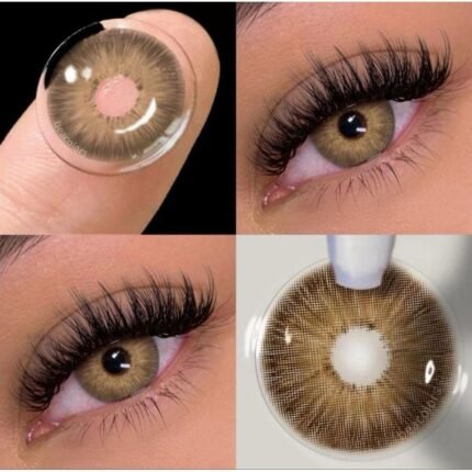 FreshLady Sahara Brown Colored Contact Lens in Bangladesh