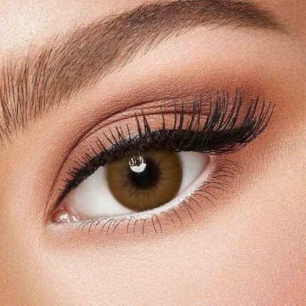 FreshLady Latte Colored Contact Lens in Bangladesh