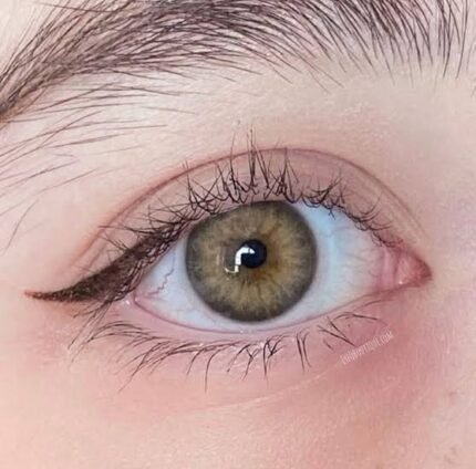 FreshLady DNA Taylor Brown Hazel Colored Contact Lens in Bangladesh