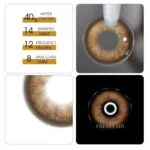 Freshlady Dolly Raquelle Contact Lens Price in Bangladesh - Image 2