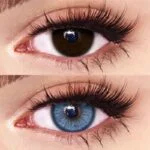 Freshlady Blueberry Contact Lens Price in Bangladesh - Image 2