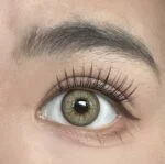 Freshlady Butter Brown Contact Lens Price in Bangladesh - Image 2