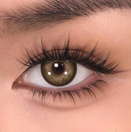 Freshlady Forest Whisper Contact Lens Price in Bangladesh