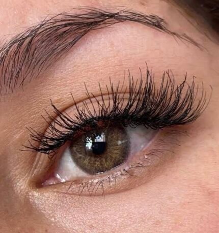 Freshlady Obsession Contact Lens Price in Bangladesh