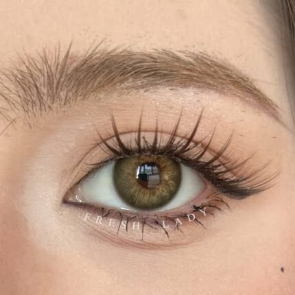 Freshlady Wildwood Eyes Brown Contact Lens Price in Bangladesh