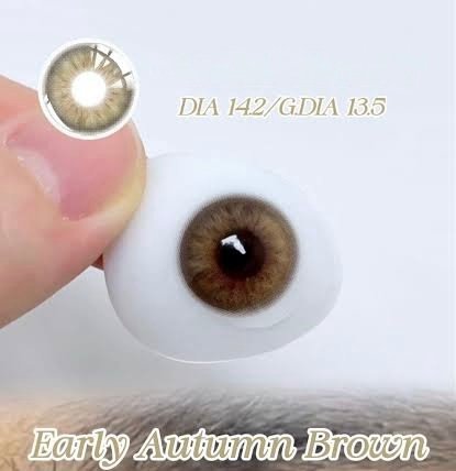 Freshlady Early Autumn Brown Contact Lens Price in Bangladesh