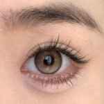 Freshlady Secret Brown Contact Lens