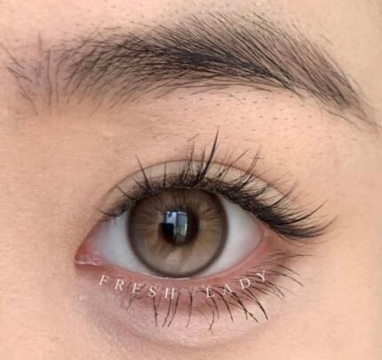 Freshlady Secret Brown Contact Lens Price in Bangladesh