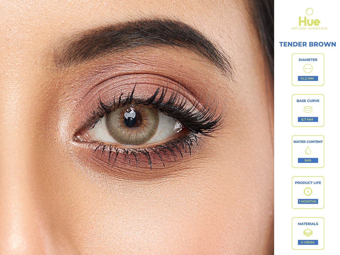 The Hue Tender Brown Hue Tender Brown Contact Lens