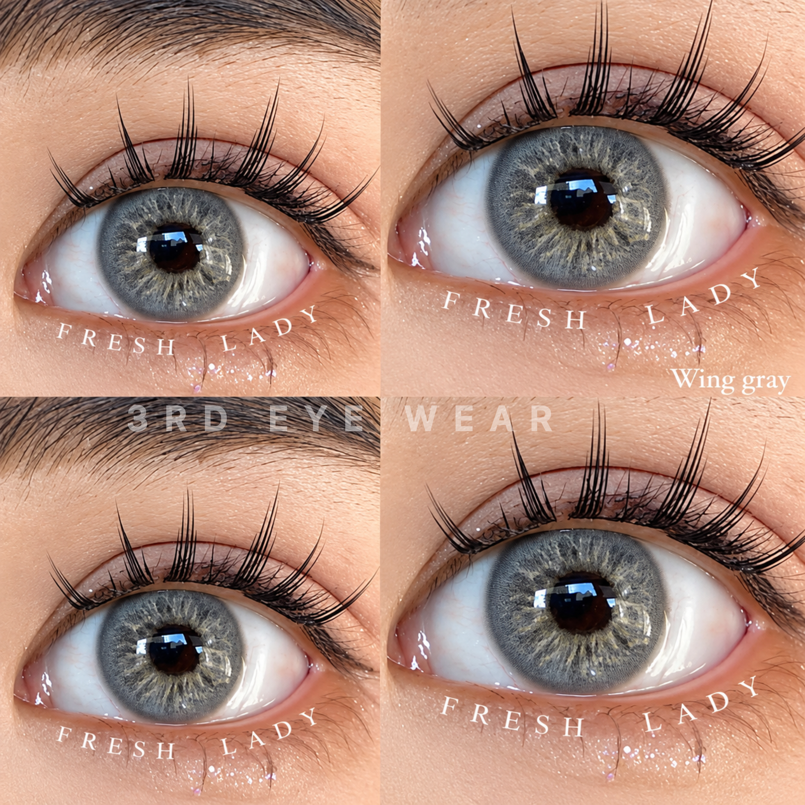 photo-output-1-35 Freshlady Wing Gray Contact Lens - Image 1