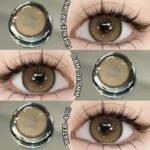 KSSEYE Firenze Brown Color Power Contact Lens | 1 Year Disposable