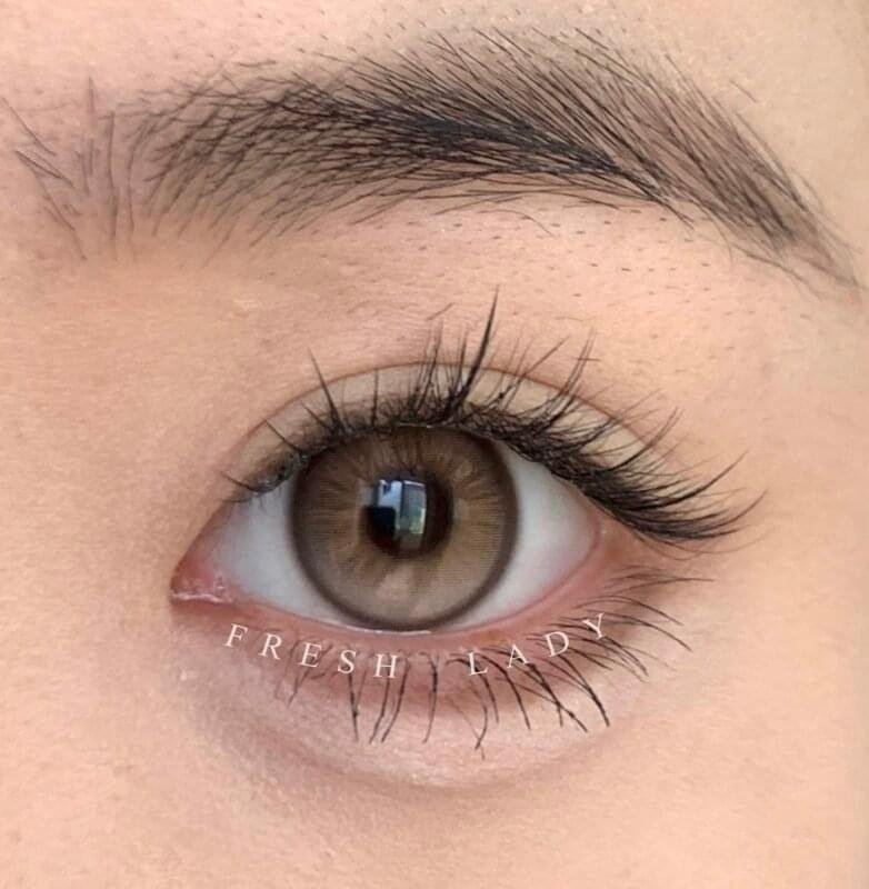 Freshlady Secret Brown Contact Lens